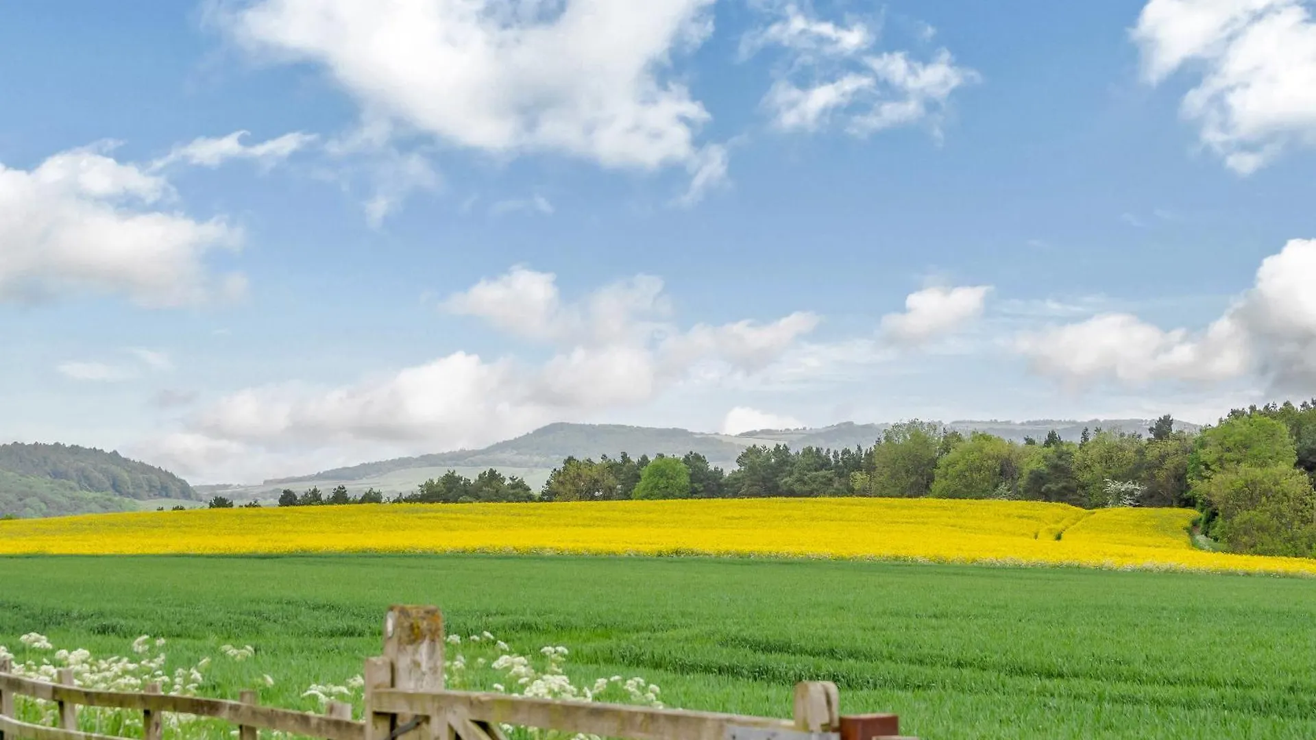 Casa vacanze Bousdale Mill Cottage Guisborough